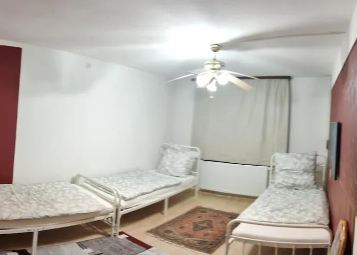 Detached Vacation For 12 Guests, Natural Garden * דילנבורג